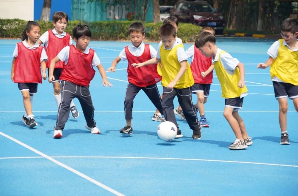 b4966235-0043-4b4b-aa73-01fee70cc5f4 b4966235-0043-4b4b-aa73-01fee70cc5f4