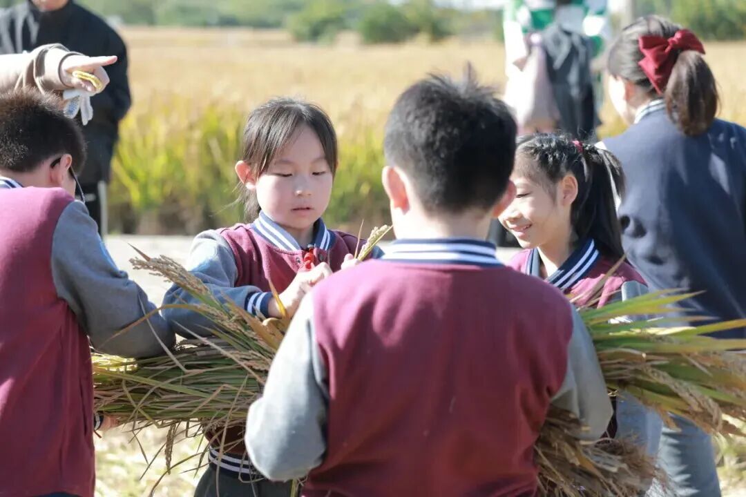 ý�屨�� | ������ġ��������ںϣ��ⳡ���˵�����������PBL��ƵĴ�����